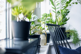 Wohnzimmer Altbau Blau